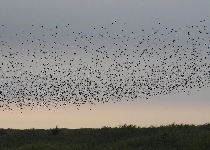 Zekine - 2-5km From The Sea By Interhome Holiday home